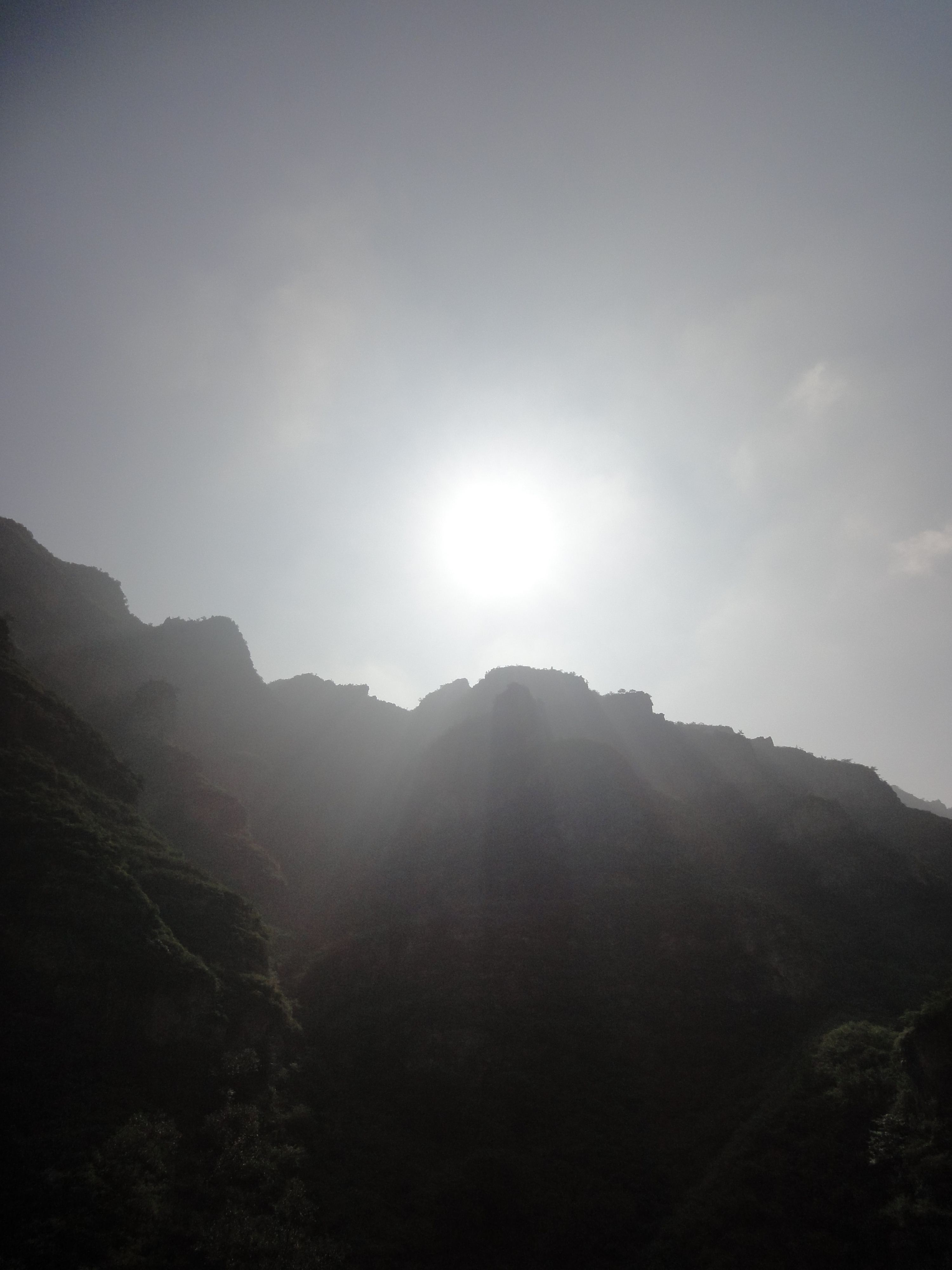 《看电影学经商》