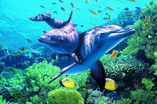 全景奇画技术含量高 邓明善发明新时代的新产