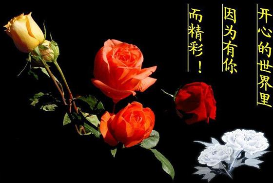 认识你们,真好! - 善德先生 - 品人生百味 创精彩人生