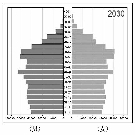 人口金字塔_2010中国人口金字塔