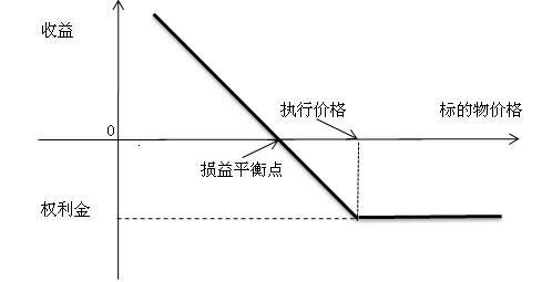 买入看跌期权_买入看跌期权图