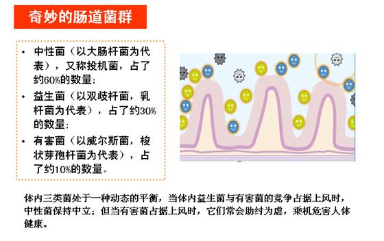 功效型和保养型护肤品_护肤品保养型_如何护肤保养脸部肌肤