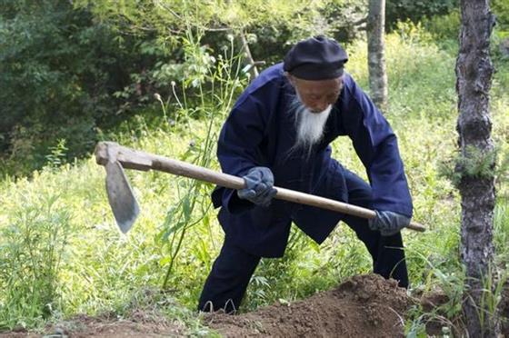 不显山不露水,不与人争锋!