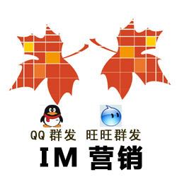 于生网络营销之IM营销