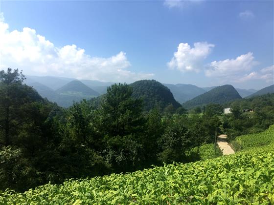 仙女湖镇野桃坝村生态实景 蔡律摄