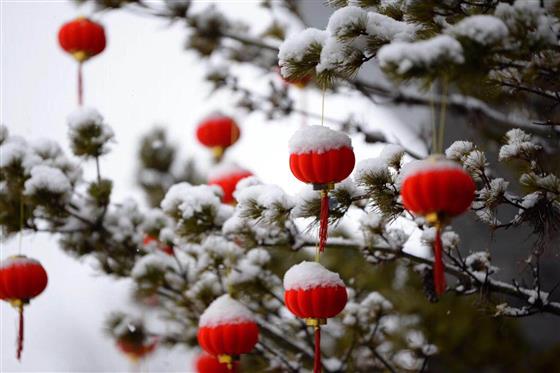 雪后的南方及时美丽陆国军果断拍下来