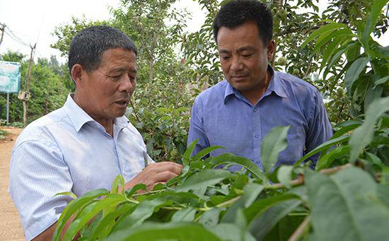 不断求学不断实验的陆国军
