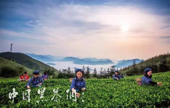 这里还有一个云台山 不一样的风景