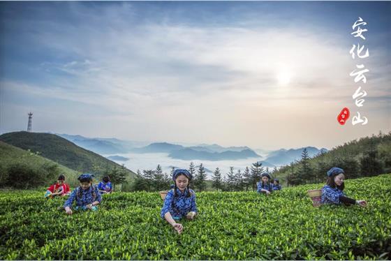 云台山 云台山