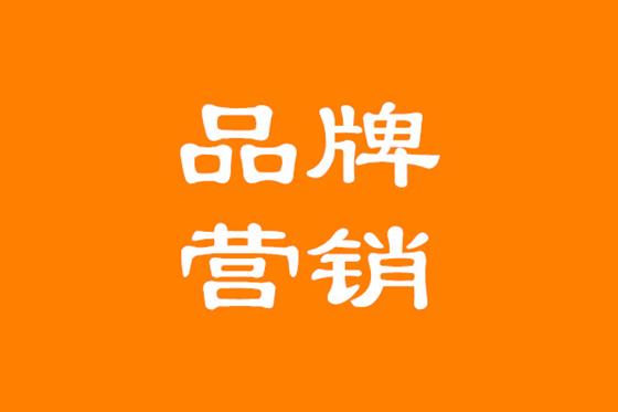 个人IP
