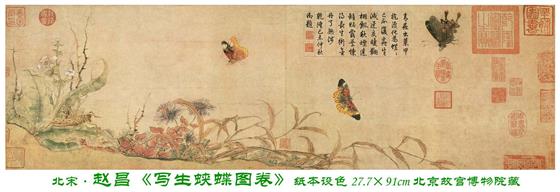 13-2 北宋 赵昌 写生蛱蝶图 手卷 纸本设色 纵27.7cm； 横91cm 北京故宫博物院藏 赵昌 写生蛱蝶图 (百幅中国名画).jpg