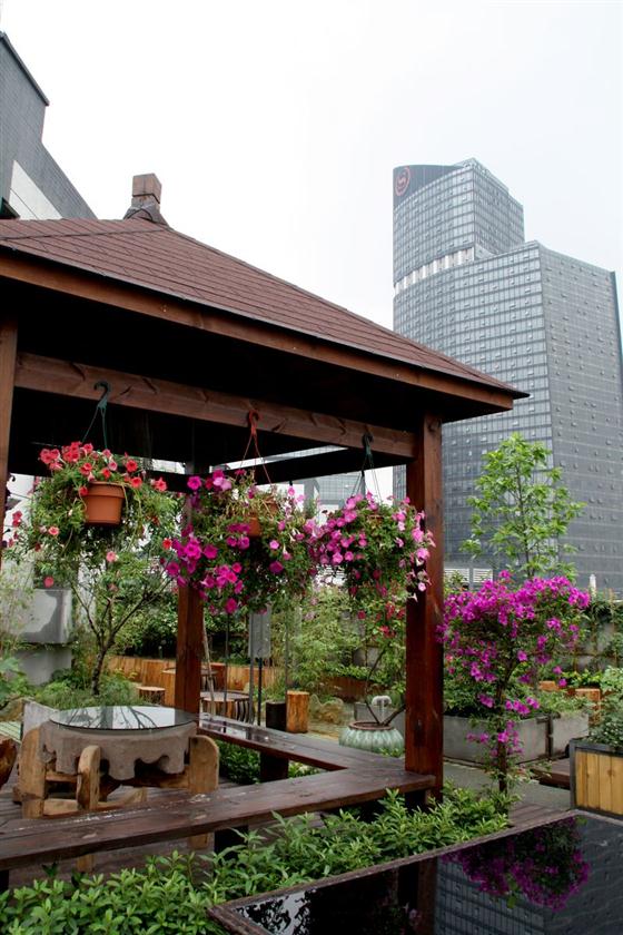 风雅禅境菩提叶 - 蔡律的日志 - 网易博客