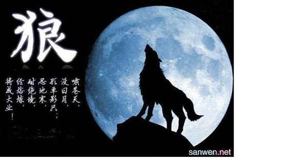 甘做一只人群中的孤狼!